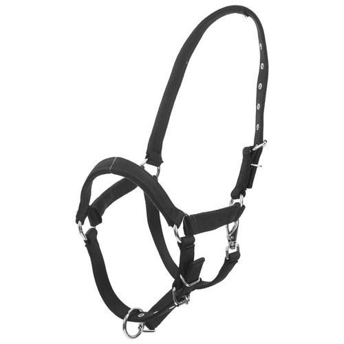 Lunghina cavallo accessori - lunghina,