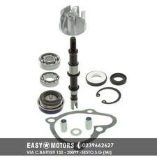 100110460 KIT REVISIONE ALBERO