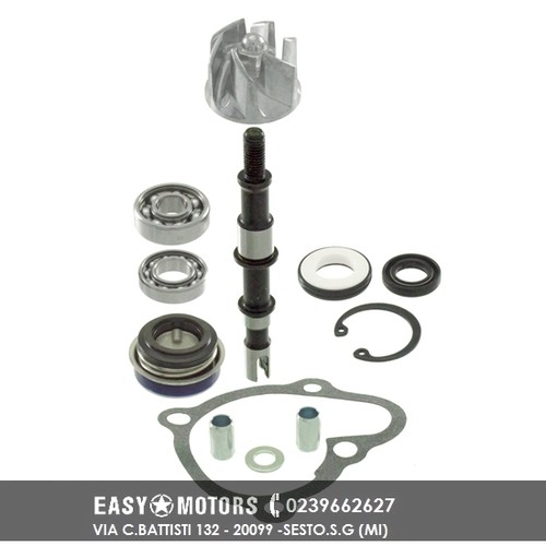 100110460 kit revisione albero - kit,