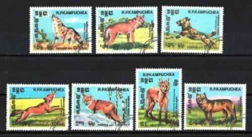 Animali cani selvatici - animali,