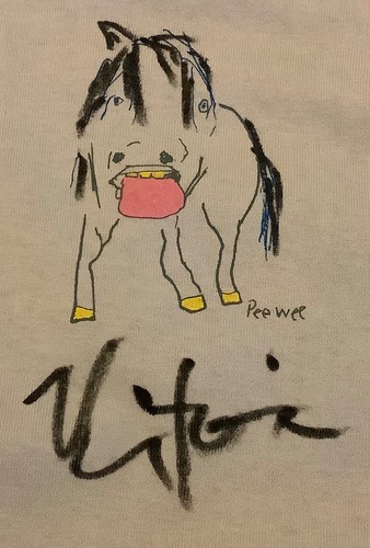Camicia firmata victoria - camicia,