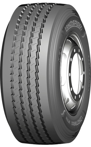 Gomme estive landspider - gomme,