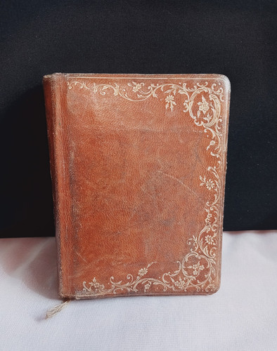 Antique leather bound - leather, gilt