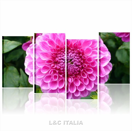 Dahlia quadro moderno - dahlia, 152x78