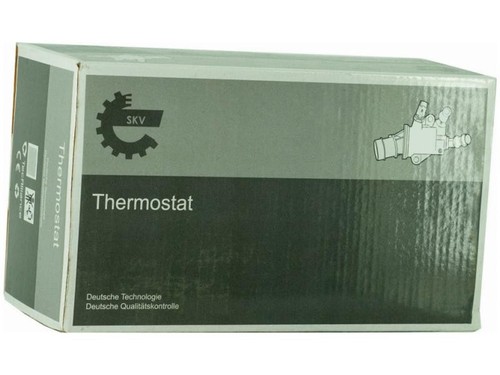 Termostato per iveco - termostato,