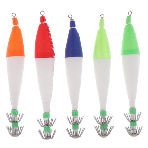 Pezzi calamari luminosi - pezzi, di