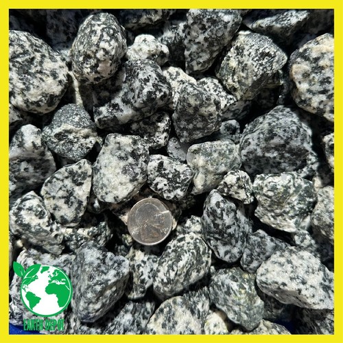 Pietre granito dalmata - pietre,