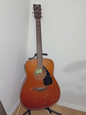 Chitarra elettrica acustica