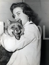 Foto vintage Freddie, la volpe