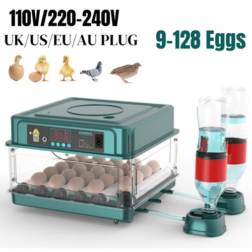 Incubatrice automatica uova