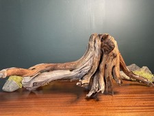 Grande Ramo 29" Manzanita