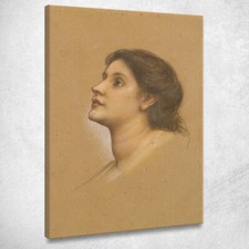 Testa Di Una Giovane Ragazza