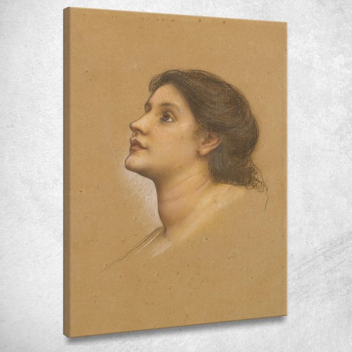 Testa una giovane ragazza - di,