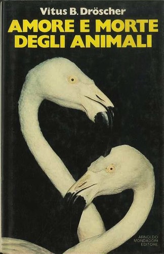 Amore morte degli - amore,