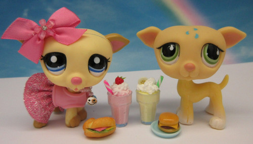 Littlest pet shop - pet,