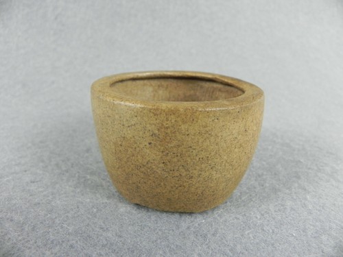 Piccolo vaso per piante bonsai - piante,