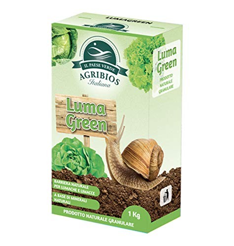 Paese verde lumagreen - paese,