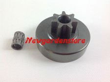 Pignone motosega catena