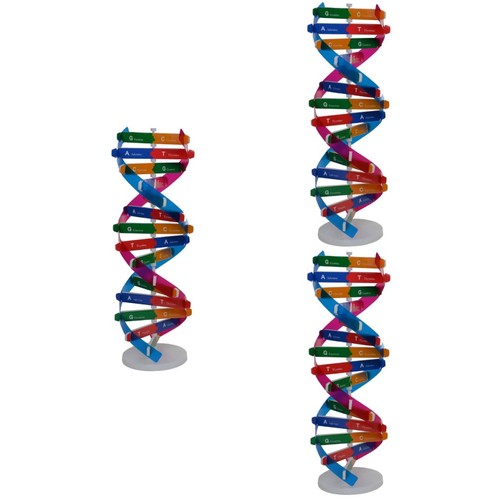 Set modelli dna doppia elica - 3,