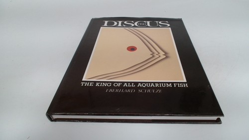Discus fish the king - discus,