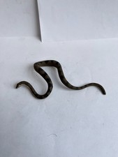 Wwe Wwf Damien The Serpente