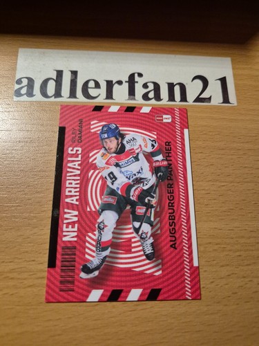 Del 2024 2025 nuovi - 2024-2025,