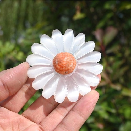 Gesso naturale margherita - 2'',