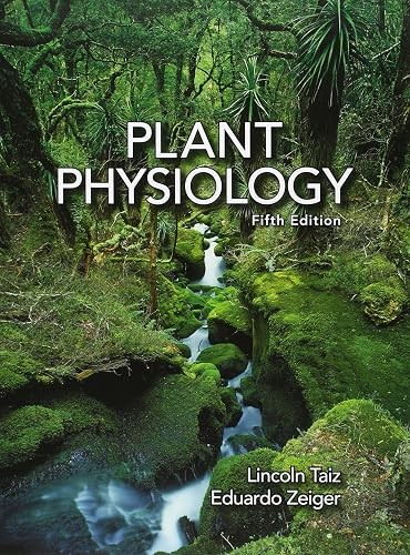 Plant physiology - plant,