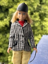 Vintage Barbie Skipper Doll &