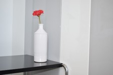 BUCCI FRANCO LABORATORIO