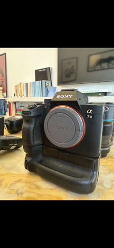 Full sony mirrorless - sony,