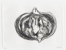 FORGIOLI ATTILIO  "MELOGRANO"