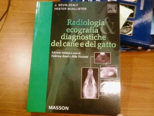 Radiologia ecografia - radiologia,