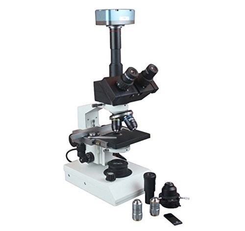 Radical trinoculare - radical,