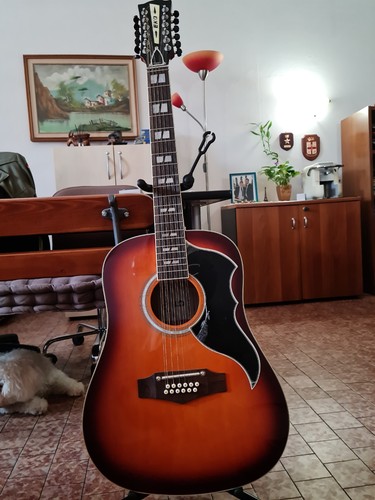 Eko ranger xii honey - ranger,