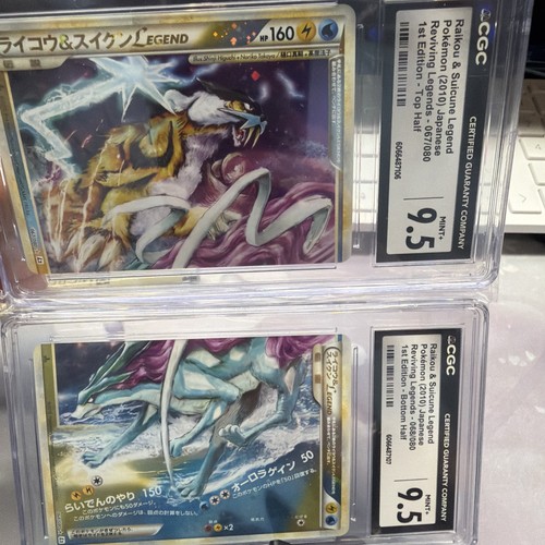 Raikou suicune leggenda - raikou, &