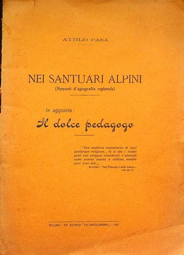Nei santuari alpini appunti - santuari, alpini: