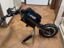 Triride Per Carrozzina Disabili