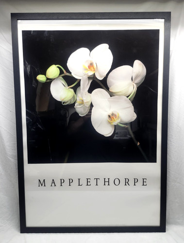 Poster stampa artistica - stampa,