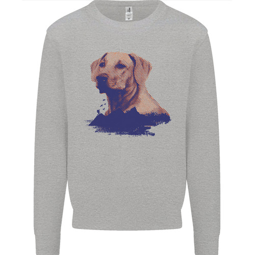 Maglione felpa uomo golden - uomo,