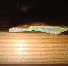 Opale Australiano Grezzo