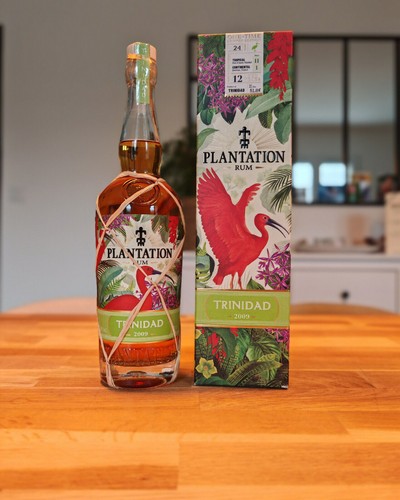 Plantation birds of paradise - -,