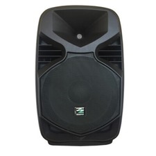 Cassa acustica professionale