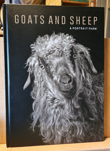 Goats and sheep portrait - and, a