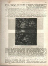 L'ARTE DI DIPINGERE COI