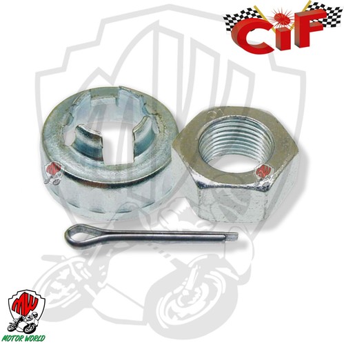 Kit dado scodellino coppiglia - scodellino,