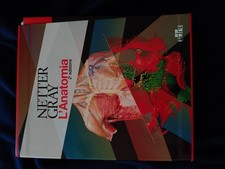 Cofanetto NETTER-GRAY Anatomia
