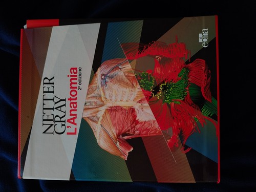 Cofanetto netter gray anatomia - netter-gray,