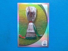 Figurine Calciatori Panini