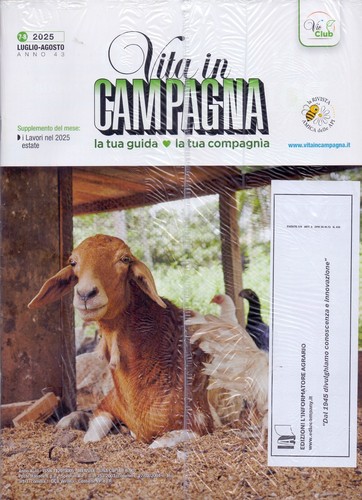 Rivista vita campagna - campagna, n